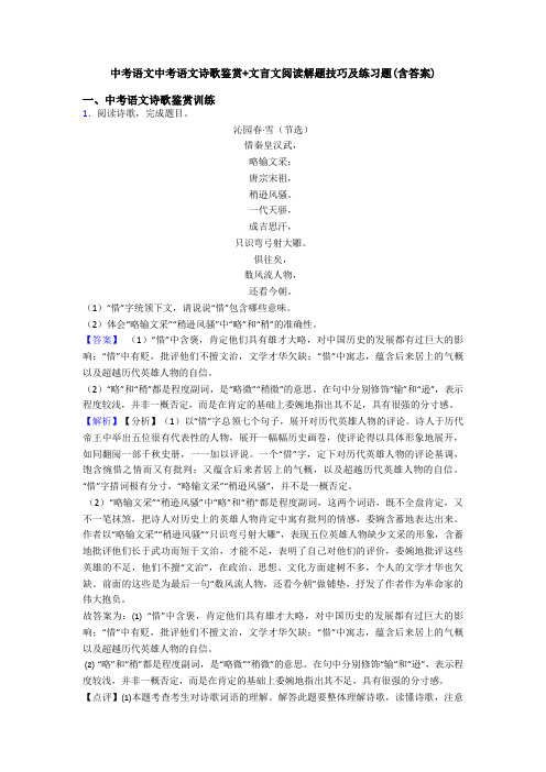 中考语文中考语文诗歌鉴赏+文言文阅读解题技巧及练习题(含答案)