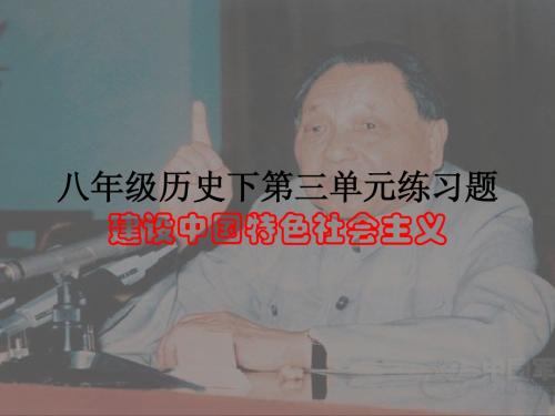 八年级历史下第三单元练习题