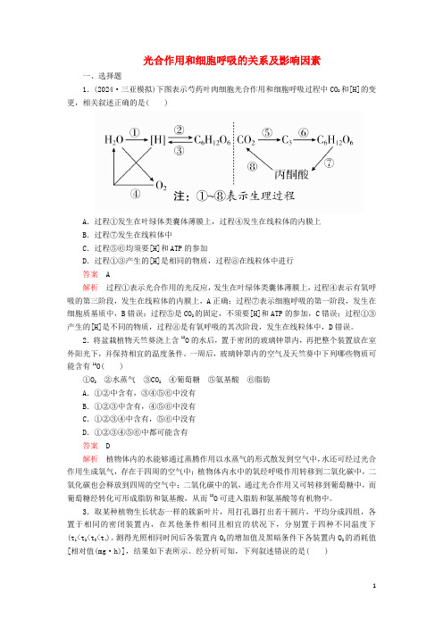 2024年高考生物一轮复习第三单元第11讲光合作用和细胞呼吸的关系及影响因素课时作业含解析必修1