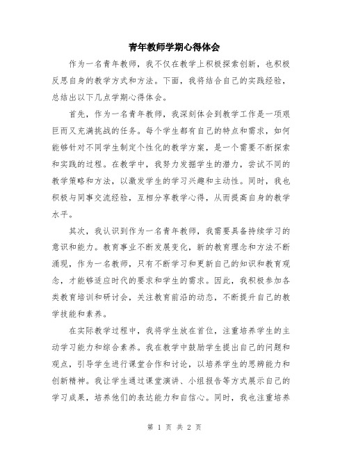 青年教师学期心得体会