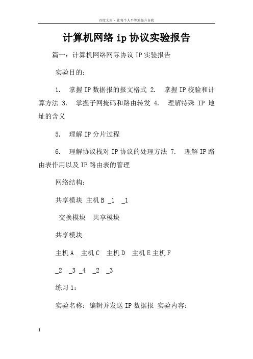 计算机网络ip协议实验报告