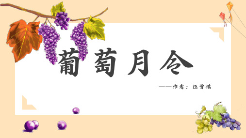 简约大气《葡萄月令》美文欣赏PPT课件