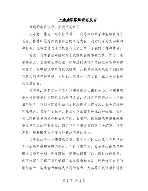 上挂挂职锻炼表态发言