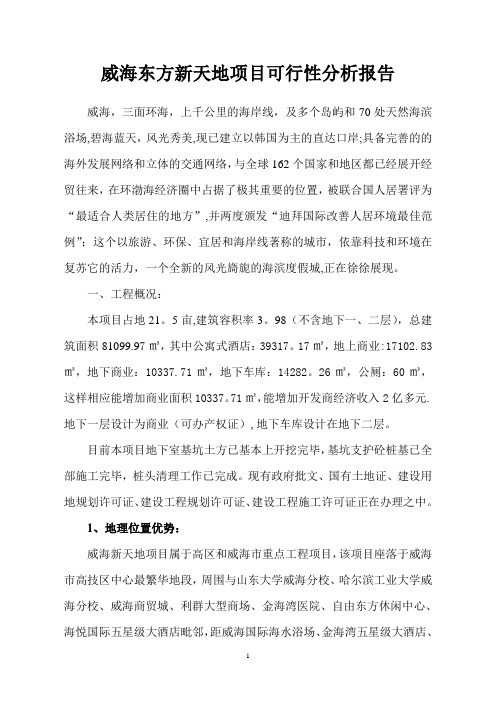 东方新天地可行性分析报告