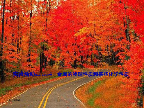 九年级化学下册 第8单元 金属和金属材料 实验活动4 金属的物理性质和某些化学性质课件初中_1