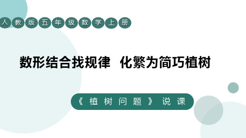 人教版五年级上册数学7数学广角——植树问题说课 课件(共29张PPT).ppt