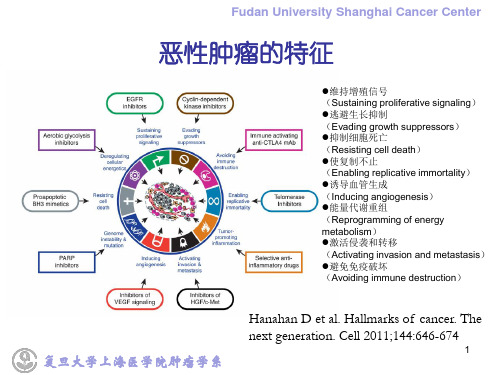 临床肿瘤学学习课件：5.肿瘤的生物学行为