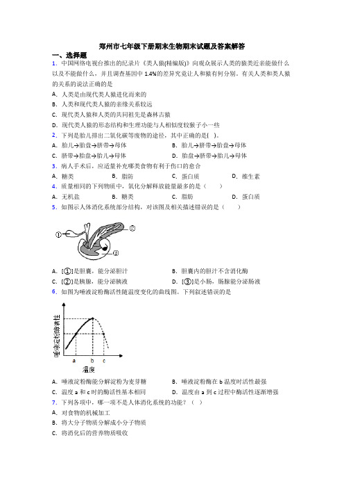 郑州市七年级下册期末生物期末试题及答案解答