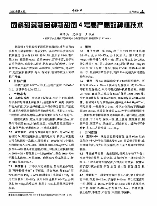 饲料甜菜新品种新甜饲4号高产高效种植技术