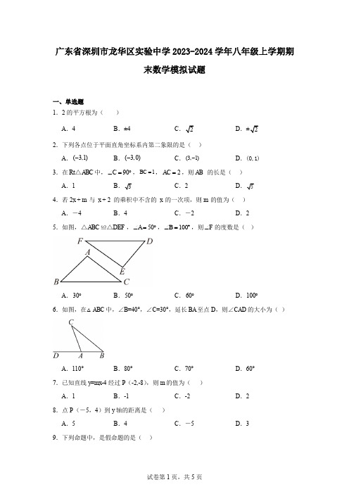 广东省深圳市龙华区实验中学2023-2024学年八年级上学期期末数学模拟试题