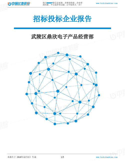 武陵区鼎欣电子产品经营部-招投标数据分析报告