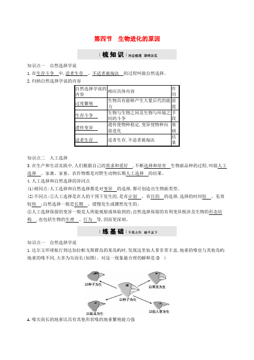 八年级生物下册5.1.4生物进化的原因精练新版济南版