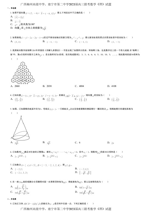 广西柳州高级中学、南宁市第二中学2023届高三联考数学(理)试题