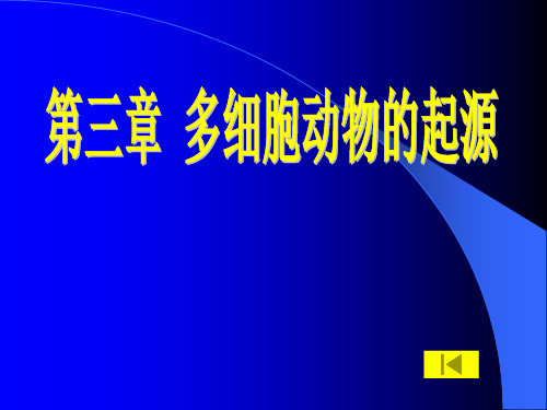 多细胞动物导论