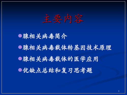 病毒转基因技术原理腺相关病毒ppt课件