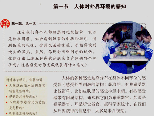 初中生物七年级《人体对外界环境的感知》优秀课件