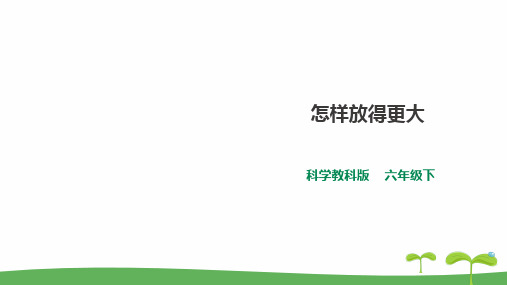 教科版六年级科学下册 《怎样放得更大》课件