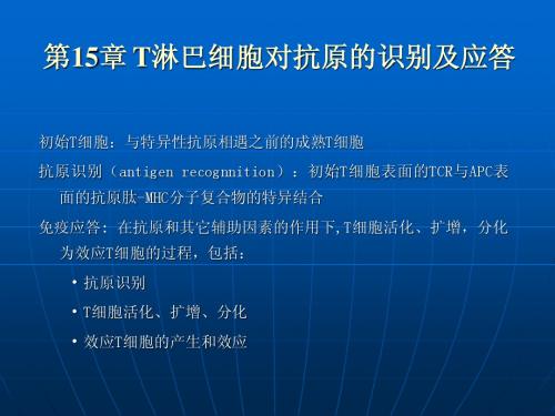 15章 T淋巴细胞对抗原的识别及应答