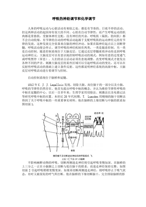 呼吸的神经调节和化学调节