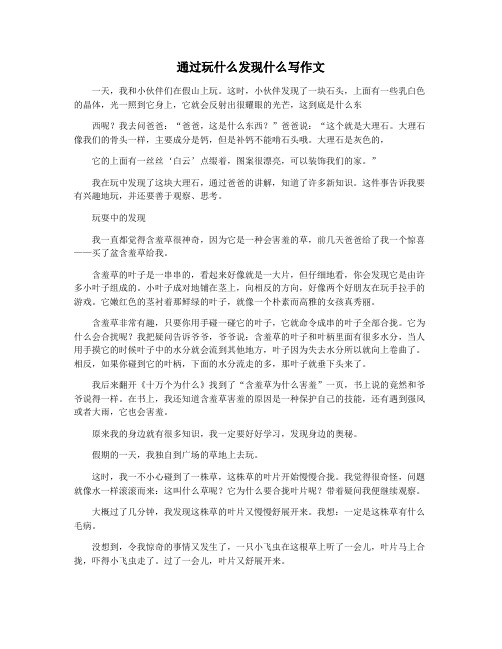 通过玩什么发现什么写作文