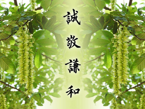 高中作文 单则材料作文讲评精品课件