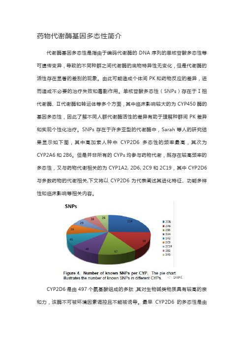 药物代谢酶基因多态性简介