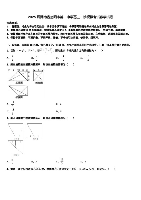 2025届湖南省岳阳市第一中学高三二诊模拟考试数学试卷含解析