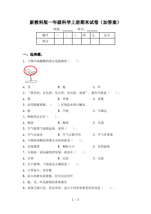 新教科版一年级科学上册期末试卷(加答案)