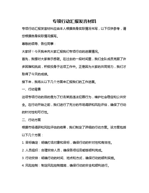 专项行动汇报发言材料