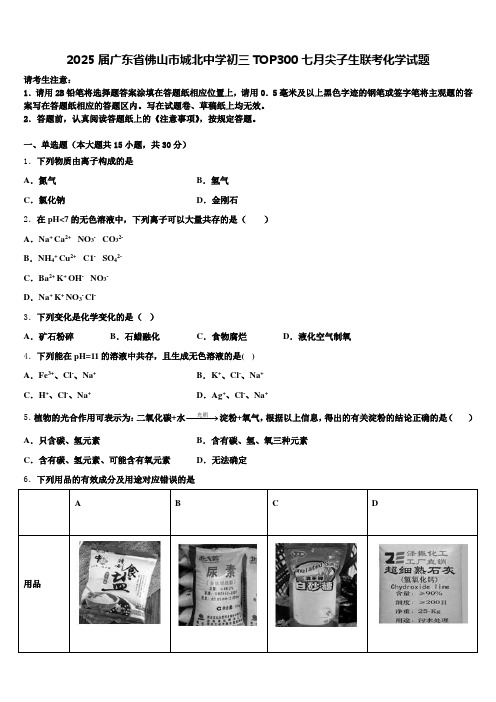 2025届广东省佛山市城北中学初三TOP300七月尖子生联考化学试题含解析