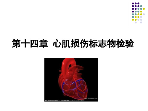 第十四章 心肌损伤标志物检验讲解