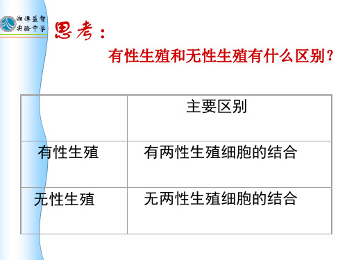 有性生殖和无性生殖有什么区别？