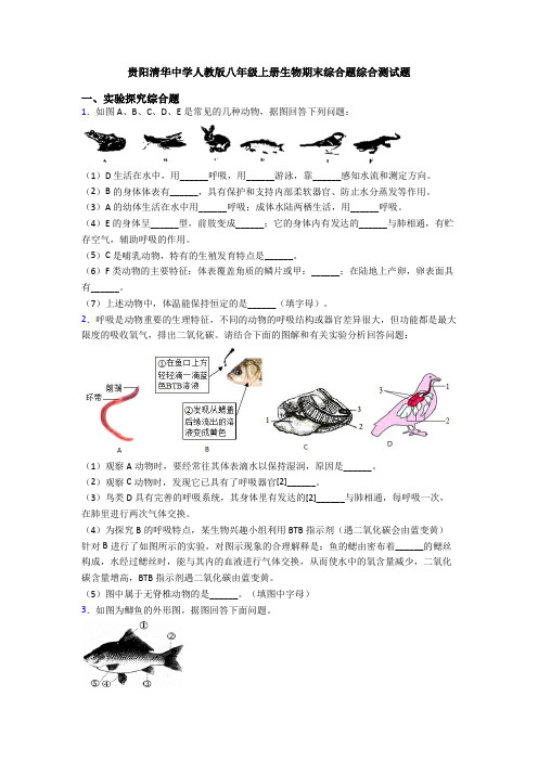 贵阳清华中学人教版八年级上册生物期末综合题综合测试题