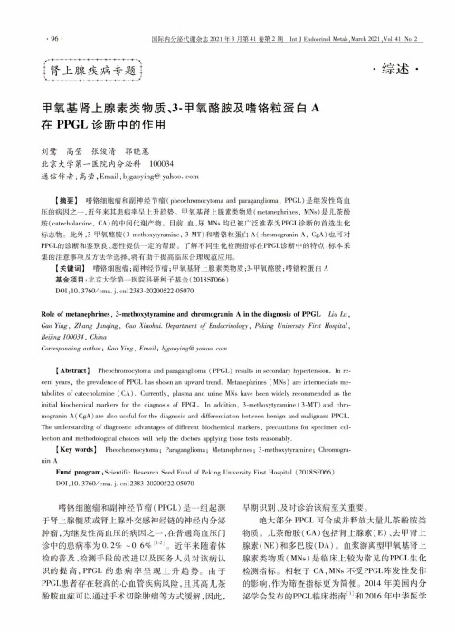 甲氧基肾上腺素类物质、3-甲氧酪胺及嗜铬粒蛋白A在PPGL诊断中的作用