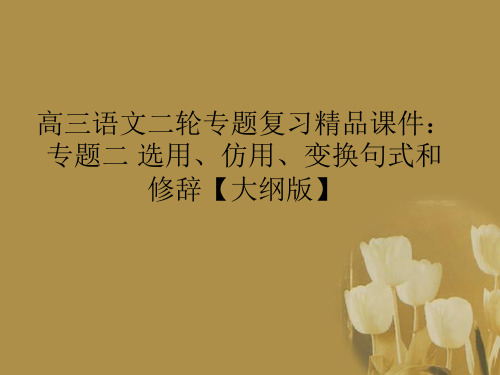 高三语文二轮专题复习 专题二 选用、仿用、变换句式和修辞精品课件 大纲人教版