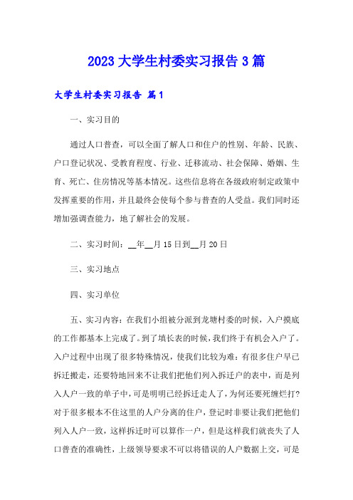 2023大学生村委实习报告3篇