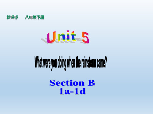 人教版新目标八年级下册英语Unit5WhatwereyoudoingwhentherainstormcameSectionB(1a-1d)