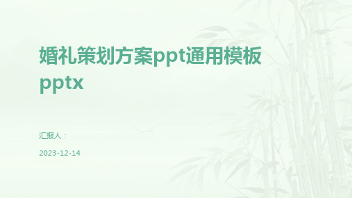 婚礼策划方案ppt通用模板pptx