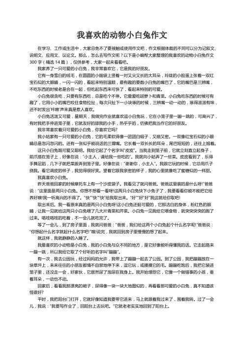 我喜欢的动物小白兔作文300字（精选14篇）