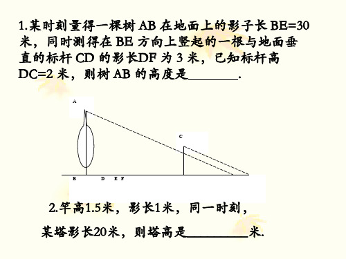 24.5相似三角形的性质(全)