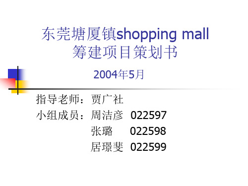 东莞塘厦镇ShoppingMall筹建项目策划书