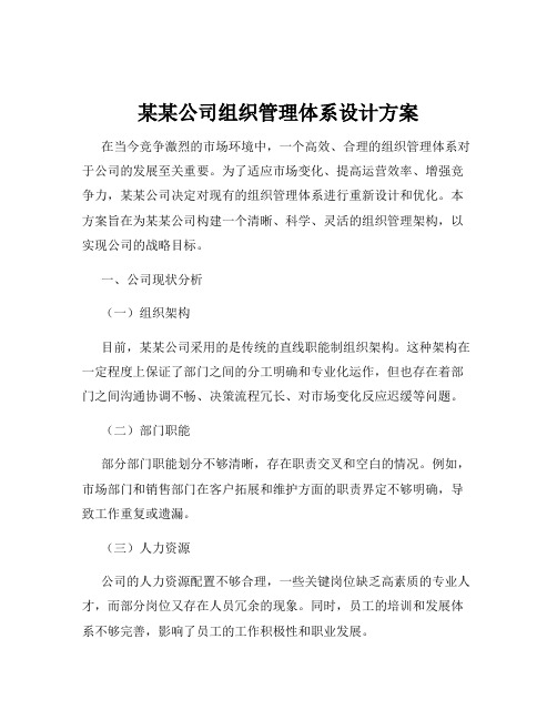 某某公司组织管理体系设计方案