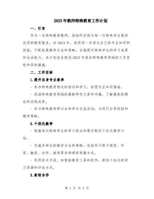 2023年教师特殊教育工作计划