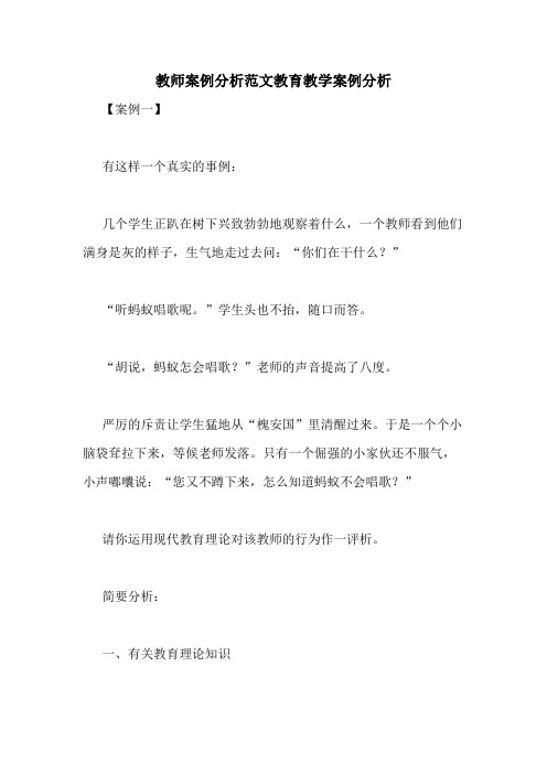 教师案例分析范文教育教学案例分析