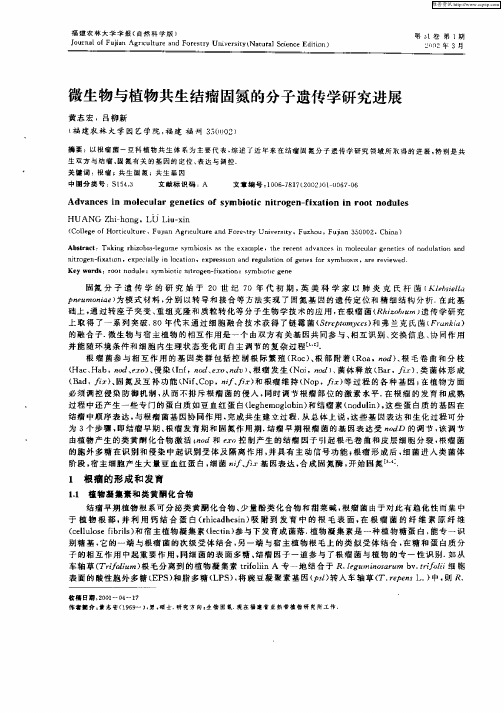 微生物与植物共生结瘤固氮的分子遗传学研究进展