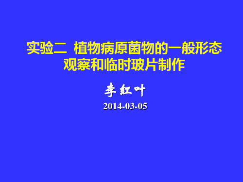 植物病理学 实验二 植物病原菌物的一般形态观察和临时玻片制作 图文
