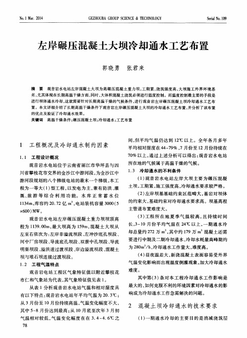 左岸碾压混凝土大坝冷却通水工艺布置