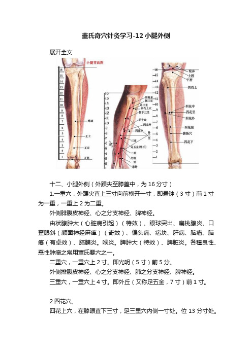 董氏奇穴针灸学习-12小腿外侧