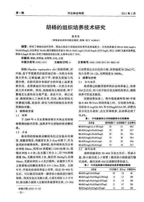 胡杨的组织培养技术研究