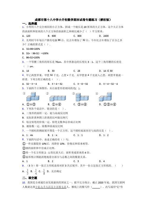 成都市第十八中学小升初数学期末试卷专题练习(解析版)